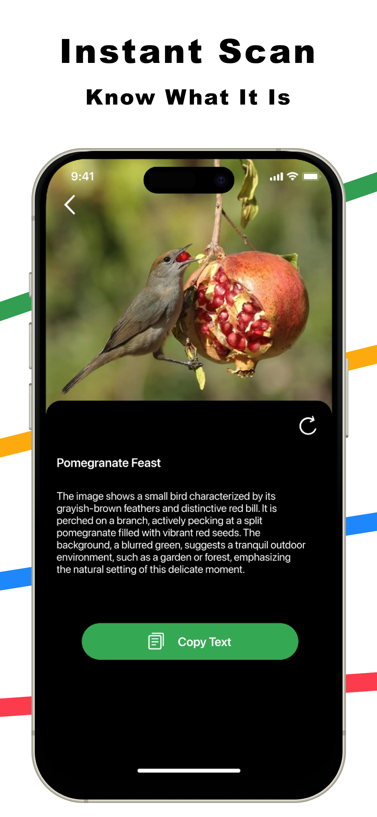 Lens AI: Identify Anything Pro screenshot 4
