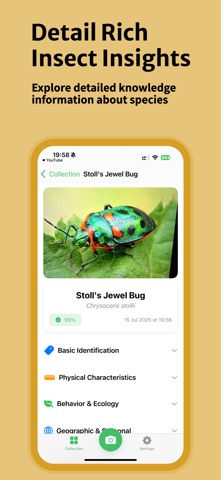 Bug Identifier - Insect AI Screenshot 6 of 6