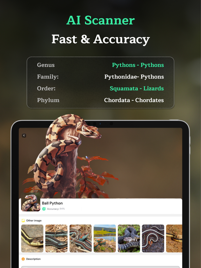 Snake Identifier AI Scanner