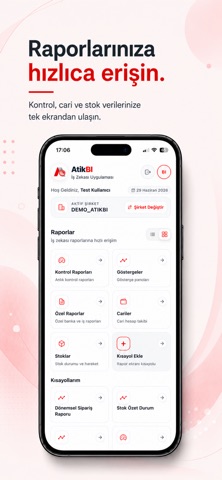 AtikBI 26.1 Screenshot 6 of 10