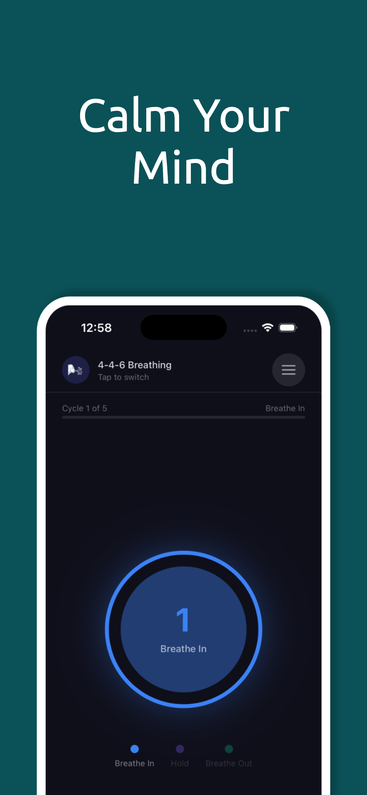 Regulator screenshot 4