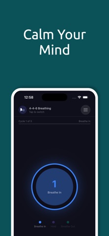 Regulator screenshot