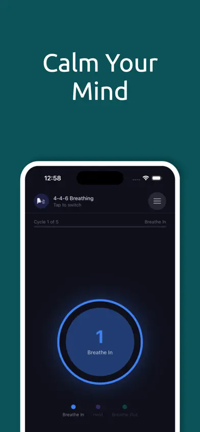 Regulator screenshot 4