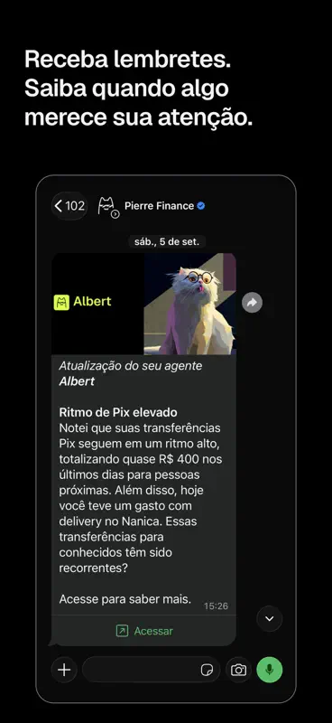 Pierre: IA financeira pessoal screenshot 6 of 10