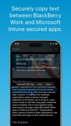 BlackBerry Enterprise BRIDGE screenshot 4