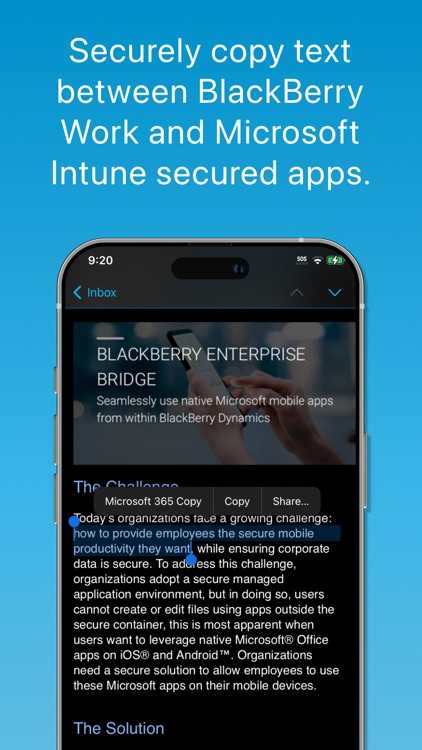 BlackBerry Enterprise BRIDGE screenshot-3