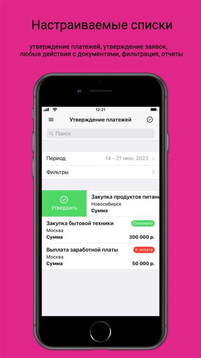 Бизнес-контроль Screenshot