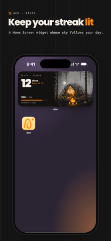 Ace: AI Flashcards & Quizzes screenshot 6