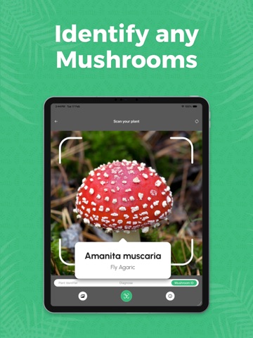Plant Identifier & Care Guide: iPad screenshot