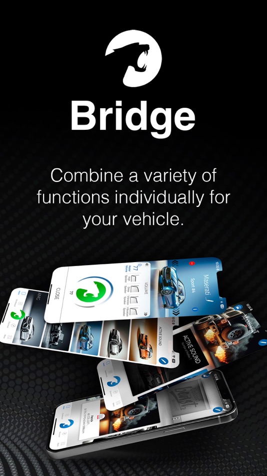 #1. Maxhaust Bridge (iOS) 由: Media-CarTec GmbH