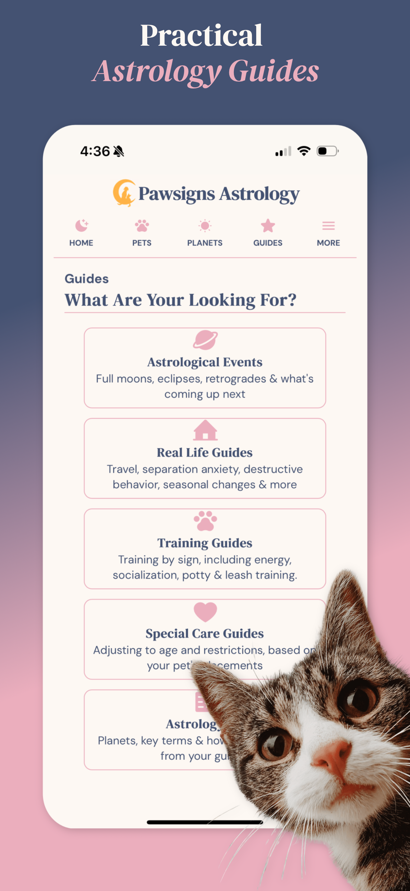 Pawsigns