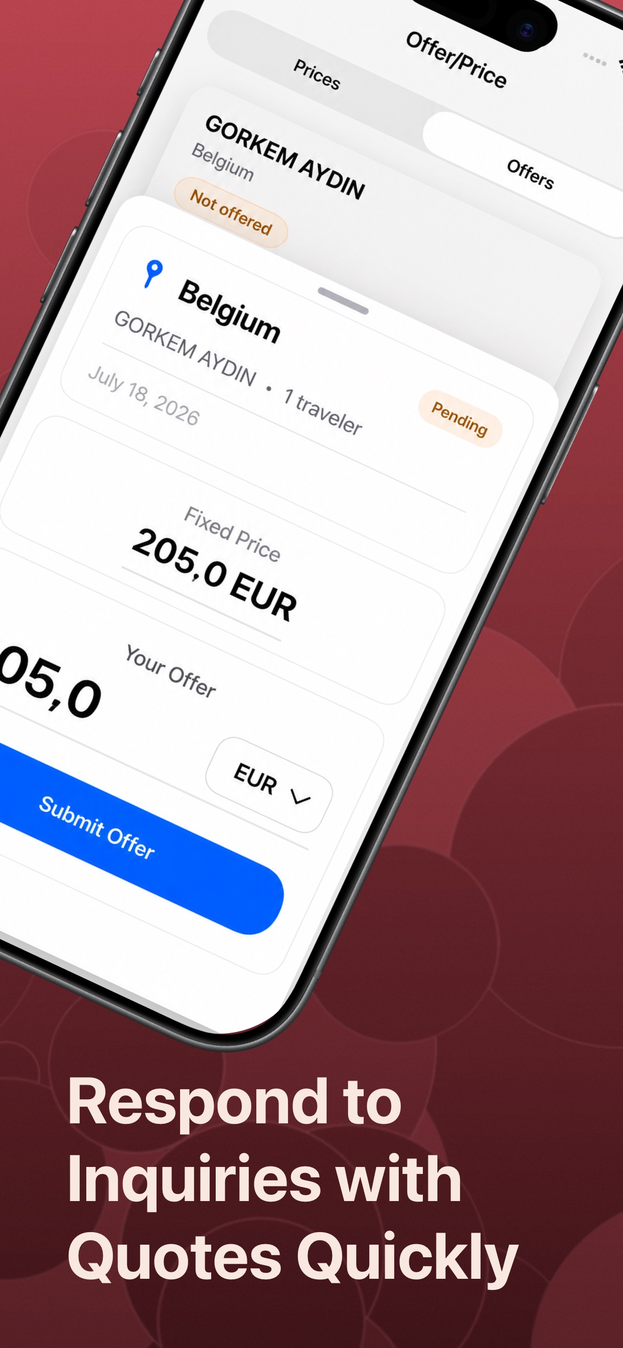 iziViza Agency screenshot 9