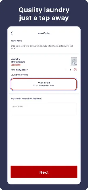 Rinsed Out Laundry screenshot 1