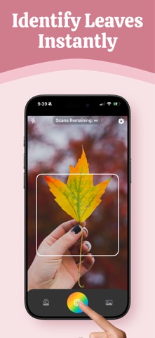 Leaf, Tree & Plant Identifier Screenshot 1 of 9