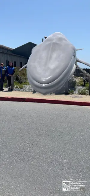 Seymour Ms. Blue AR screenshot 4