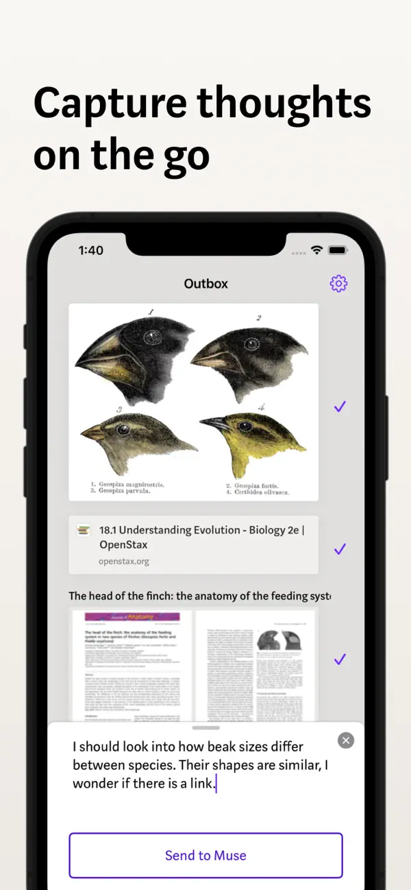 #1. Muse — canvas for ideas (iOS) De: Milestone Made, LLC