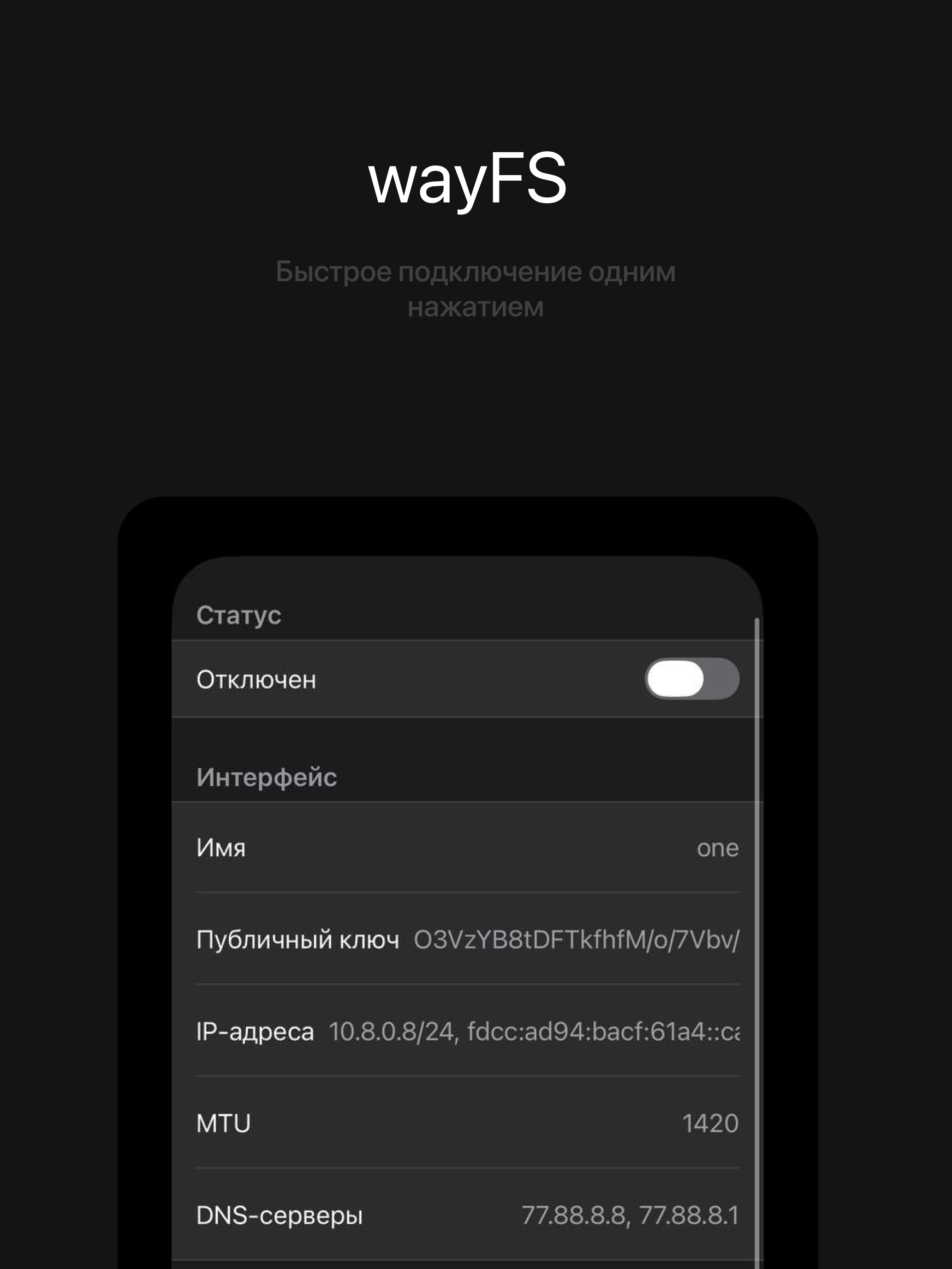 wayFS