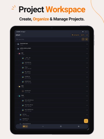 Python Code Editor & IDE iPad screenshot 4