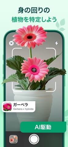 Plant Guru - 植物認識アプリ、花の名前を調べる のスクリーンショット