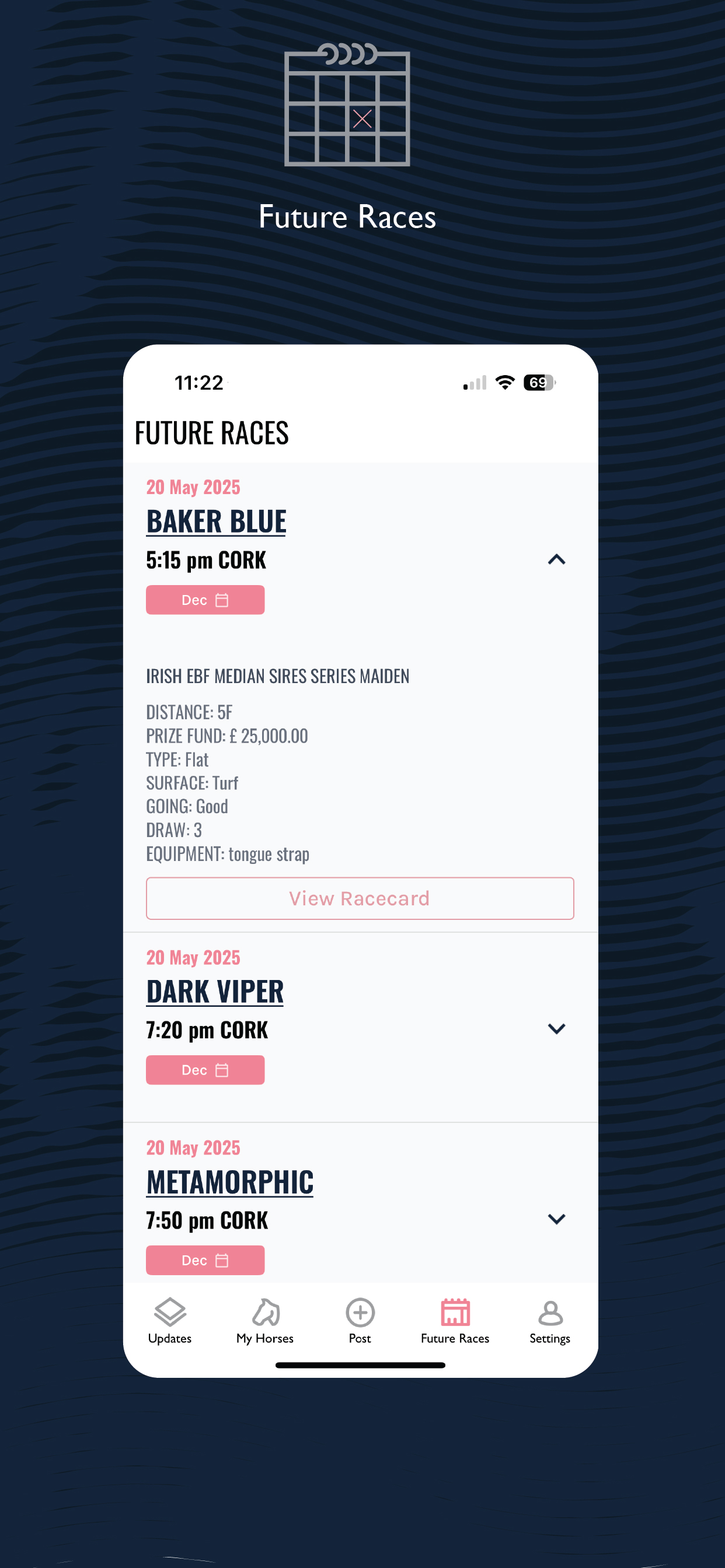 The Racing Manager