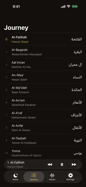 Voices of the Quran screenshot 1