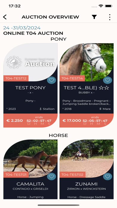 European Sport Horse Auction Screenshot