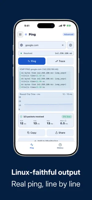 Ping NetTool screenshot 2