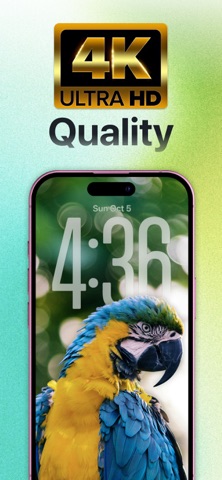 Wallio - DIY Live Wallpapers screenshot