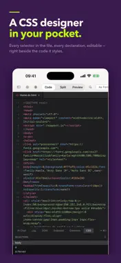html+css+js+node+programming screenshot 5