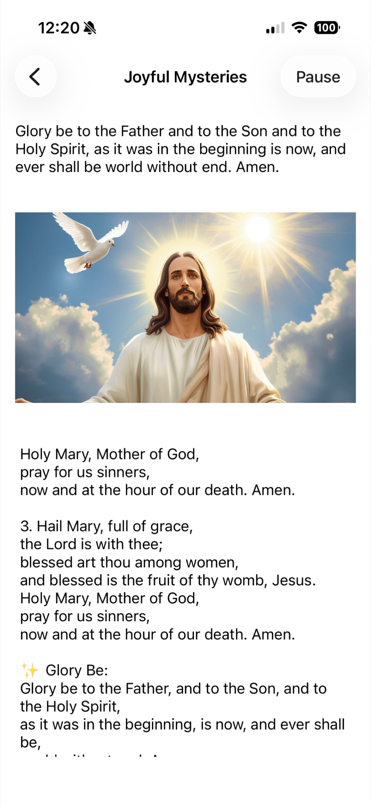 Rosary-Our Lady of Clearwater