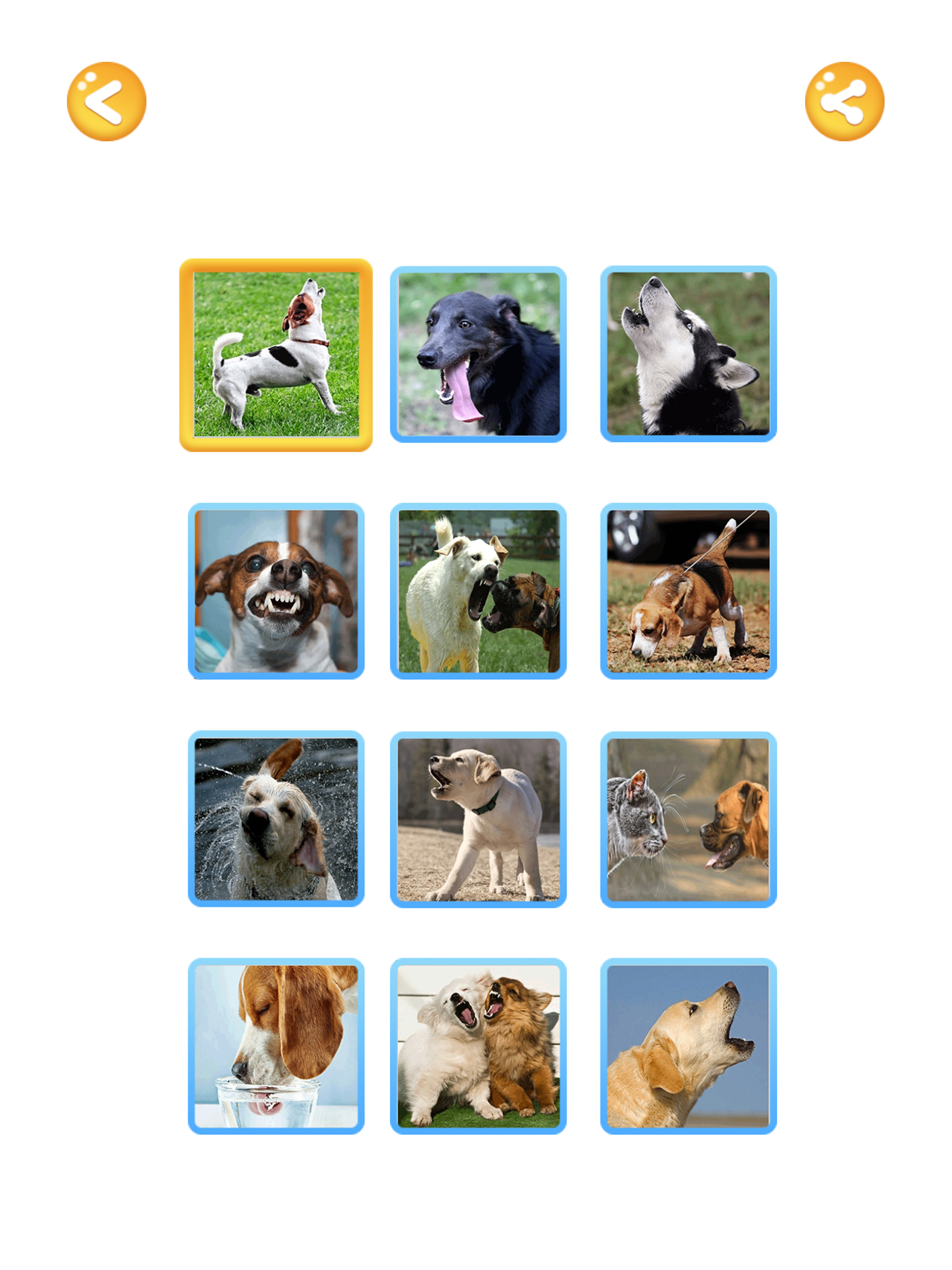 Human to Dog Translator 2025
