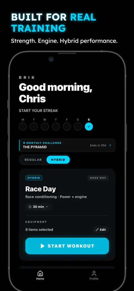 BRIK screenshot 2