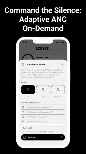 Loewe leo screenshot 3