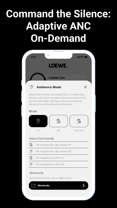 Loewe leo iPhone screenshot 3 - Music app