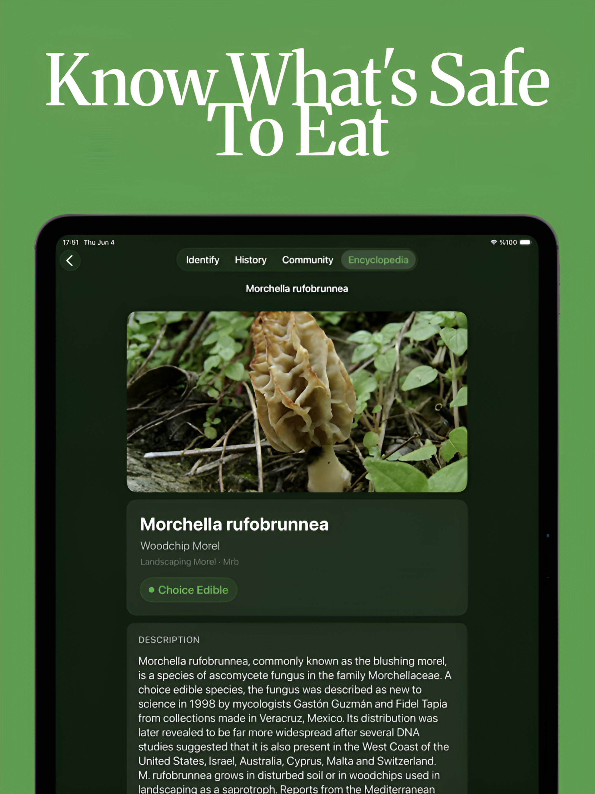 Sporely: Fungi & Mushroom ID screenshot 8