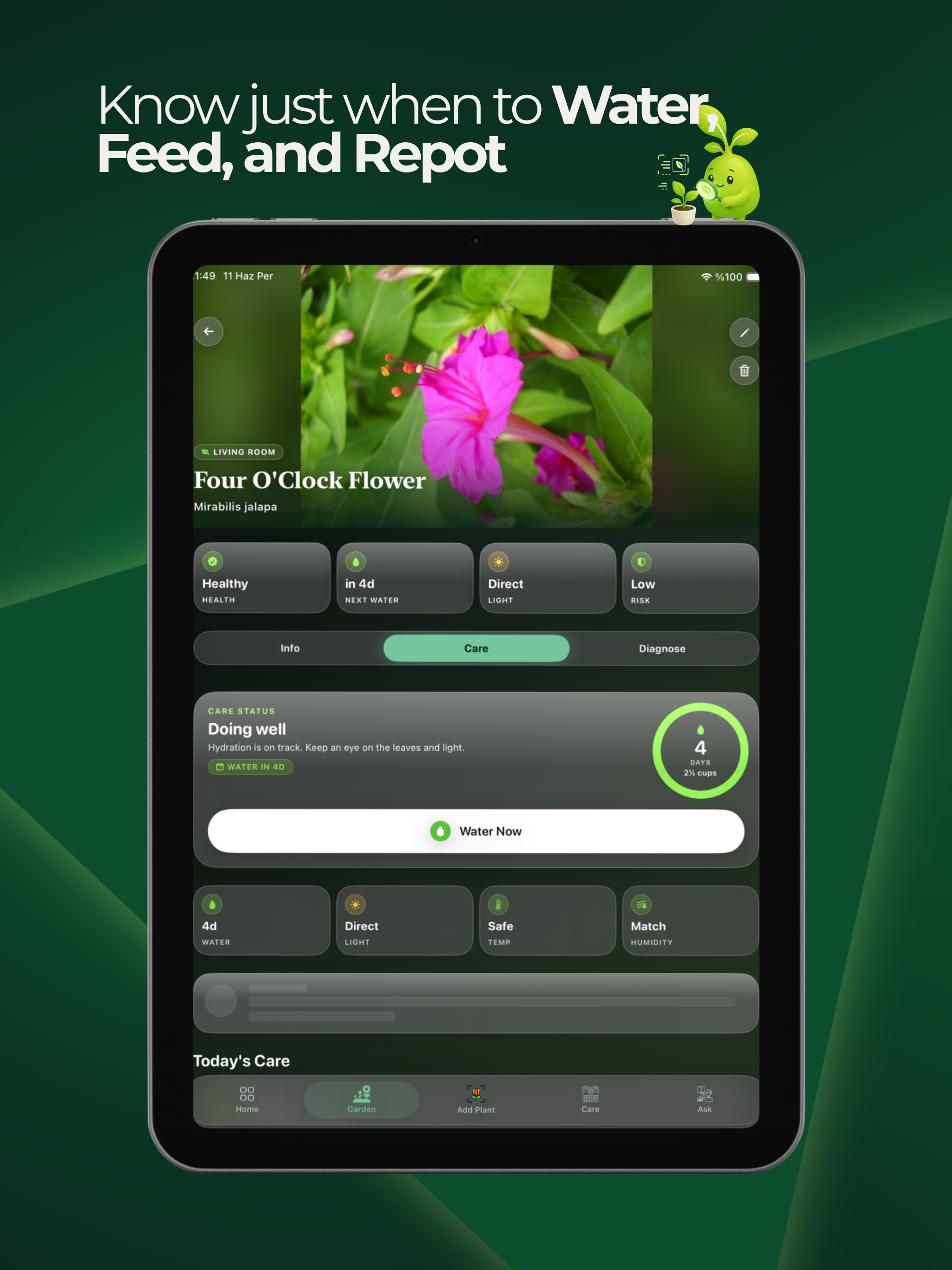 Moss - Plant Care