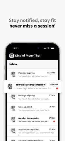 King of Muay Thai screenshot
