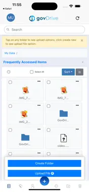 GovDrive screenshot 7