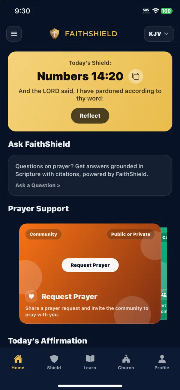 Screenshot #1 pour FaithShield AI