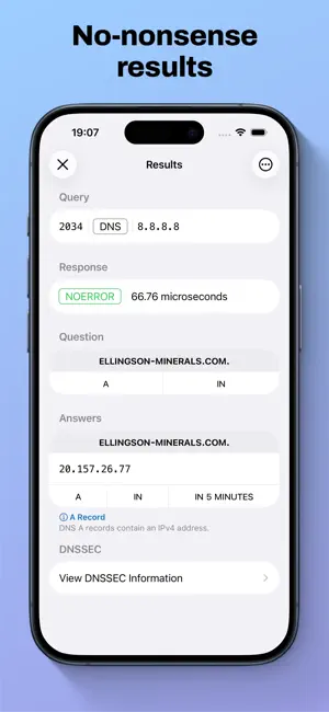 DNS Inspector screenshot 2