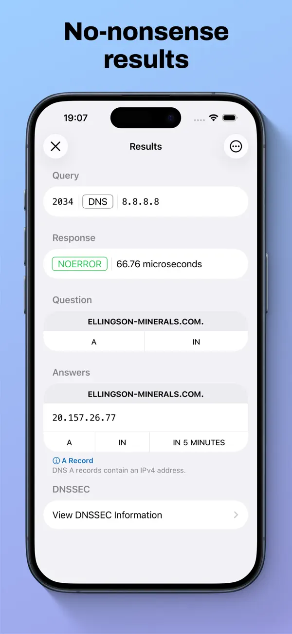 Screenshot #2 pour DNS Inspector