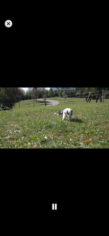Velko: IPTV Player & TV Guide screenshot