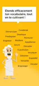 Advanced French Vocabulary screenshot #2 for iPhone