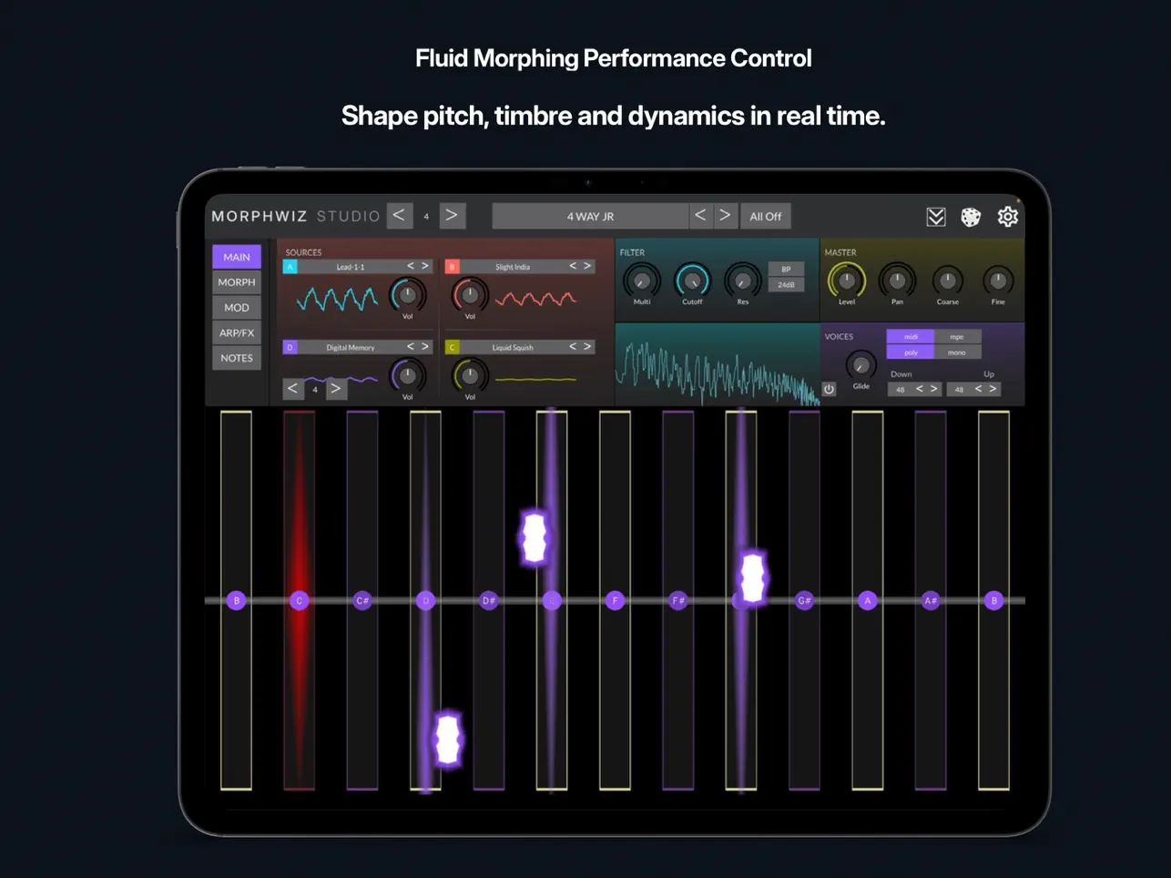 Screenshot #4 pour MorphWiz Studio