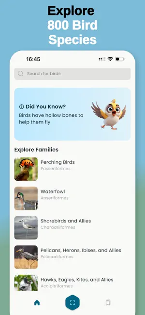 Bird Call Identifier -BirdTune screenshot 4