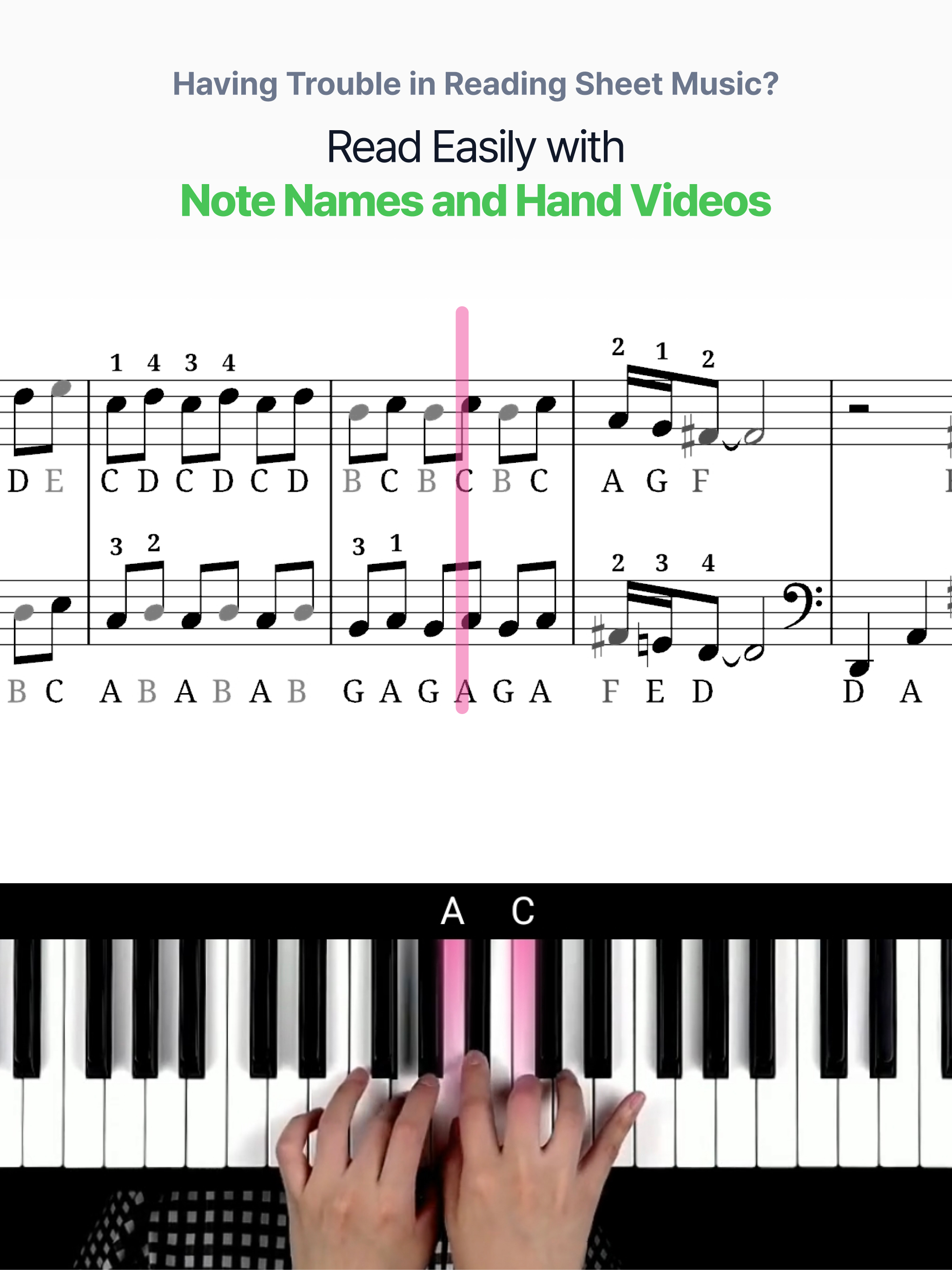 PianoKiwis