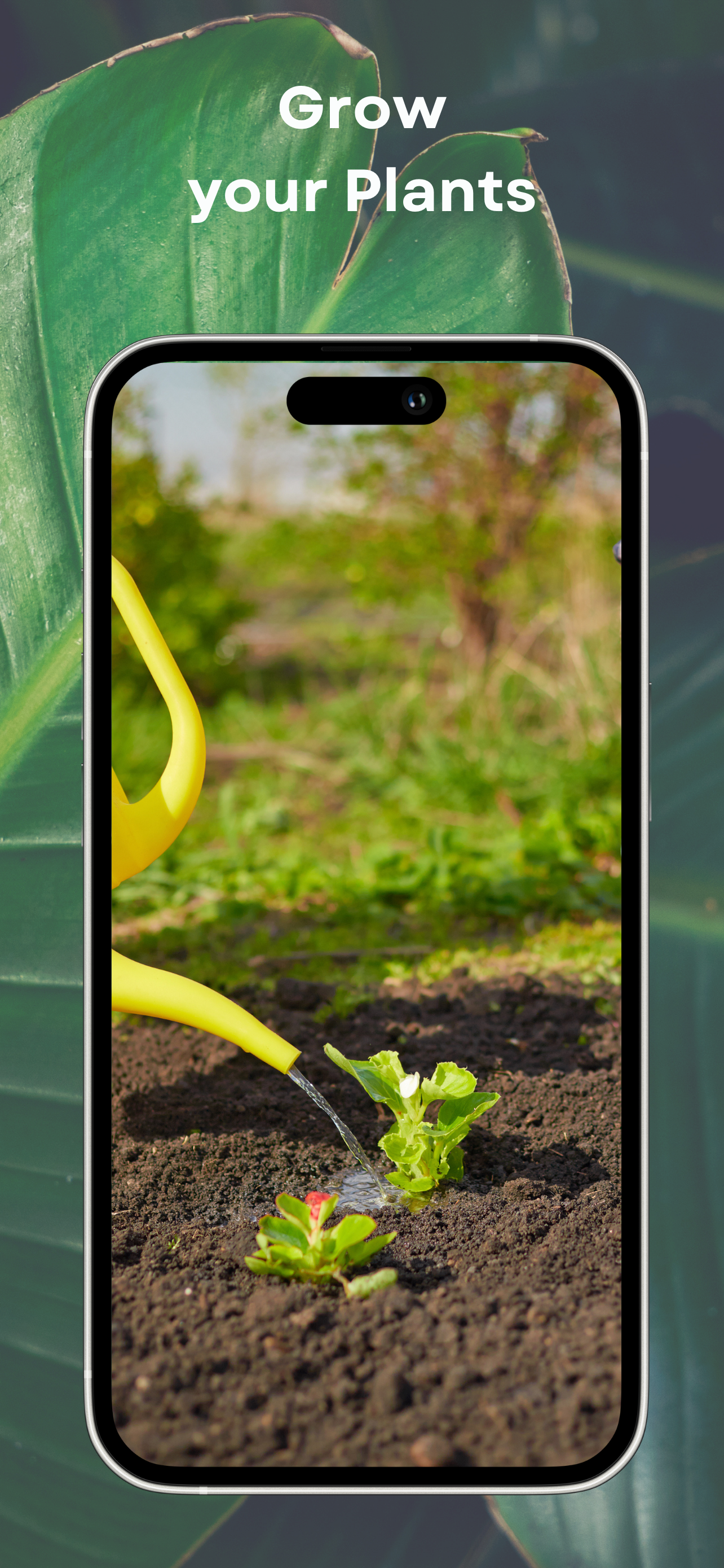 Petals: Plant Identifier AI