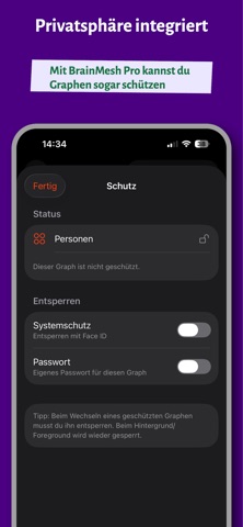 BrainMesh screenshot