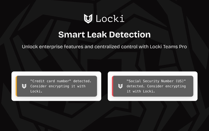 Locki Security screenshot