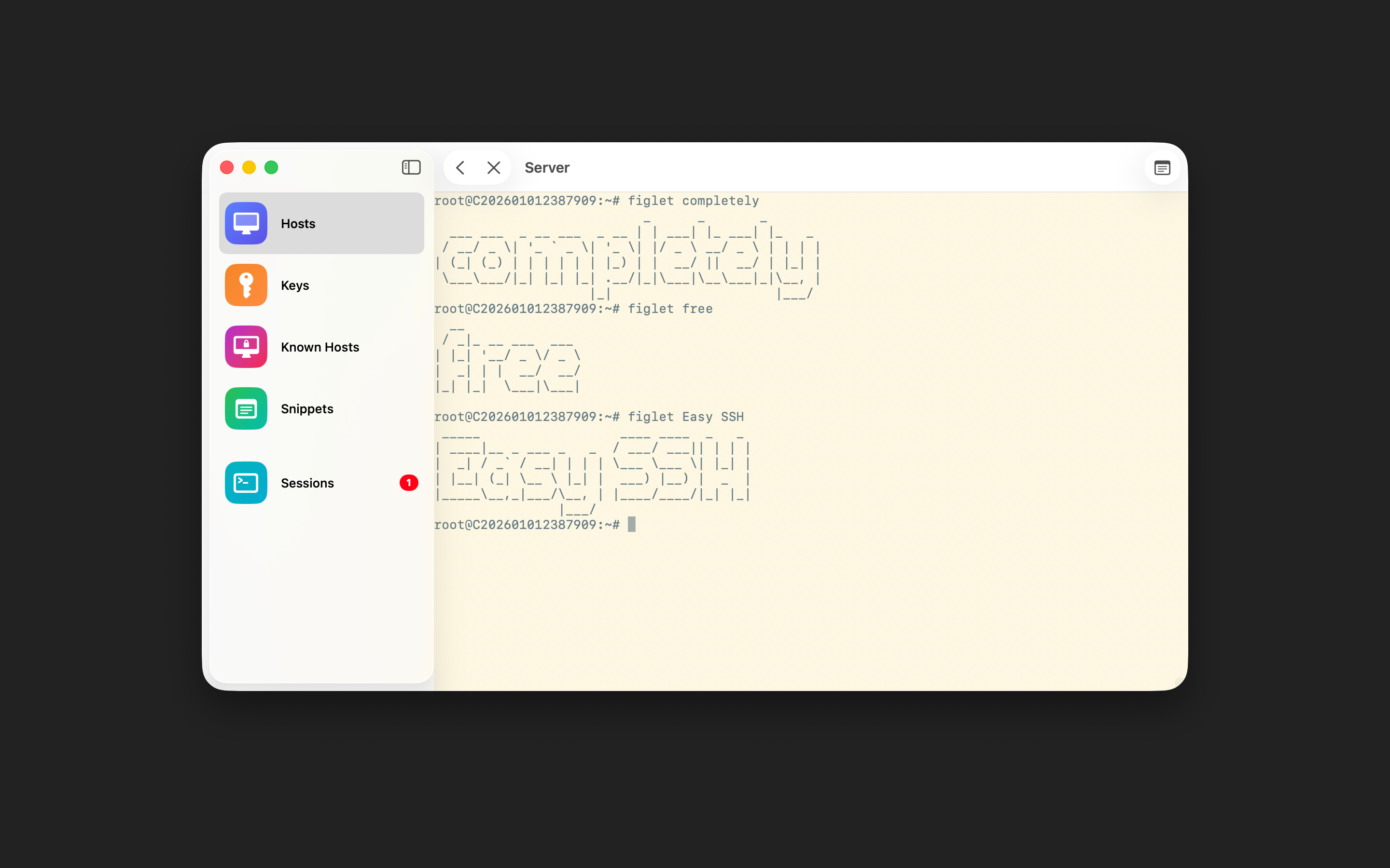 Easy SSH